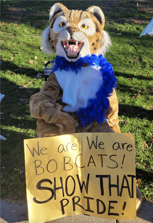 We are, We are BOBCATS!